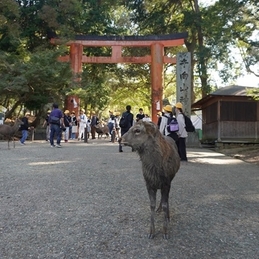 特別な旅